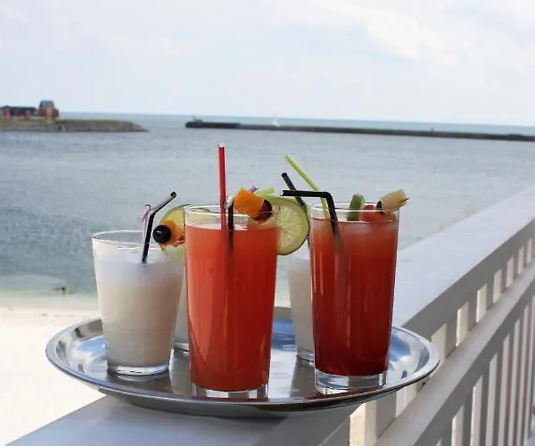 Sandburg 올페니츠